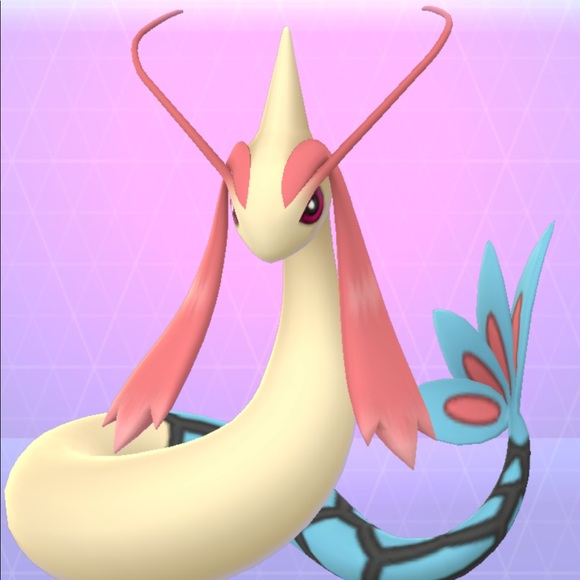 Meet your Posher, Holly - Picture 1 of 1